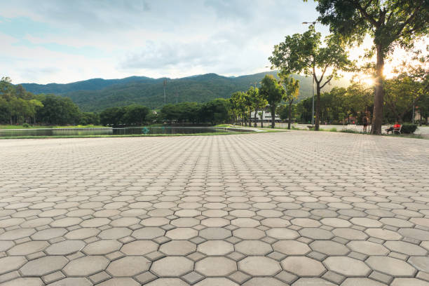Best Commercial Driveway Pavers  in Grandyle Village, NY